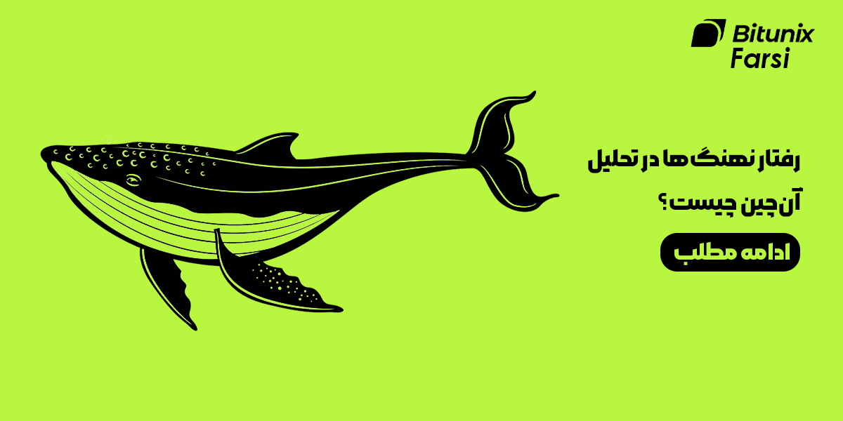 رفتار نهنگ‌ها در تحلیل آن‌چین چیست؟