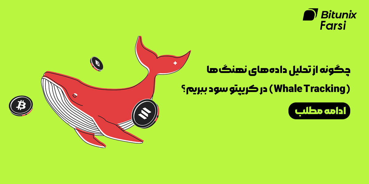 کسب سود از تحلیل داده‌های نهنگ‌ها (Whale Tracking) در کریپتو